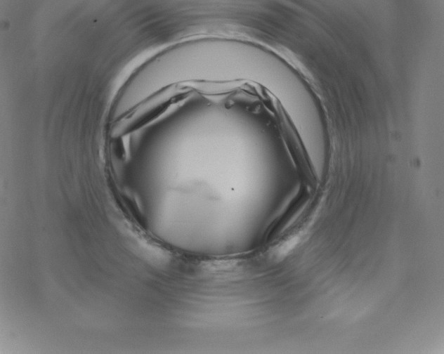 X0000076310846200610271937