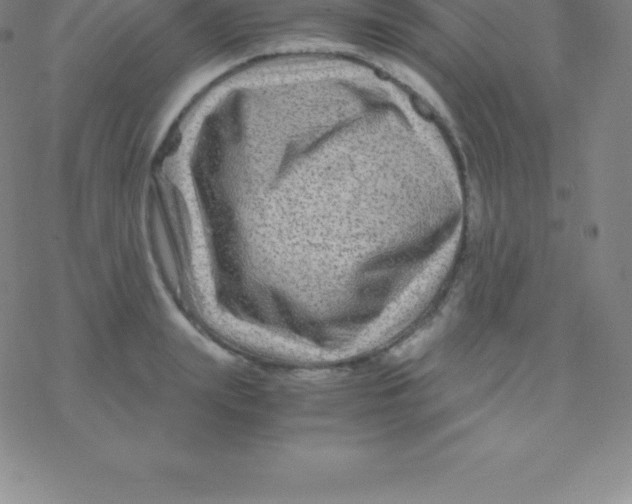 X0000076310847200610271937