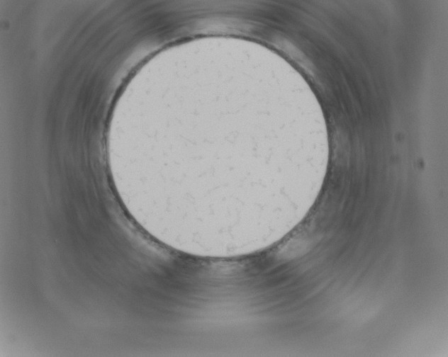 X0000076310848200610271937