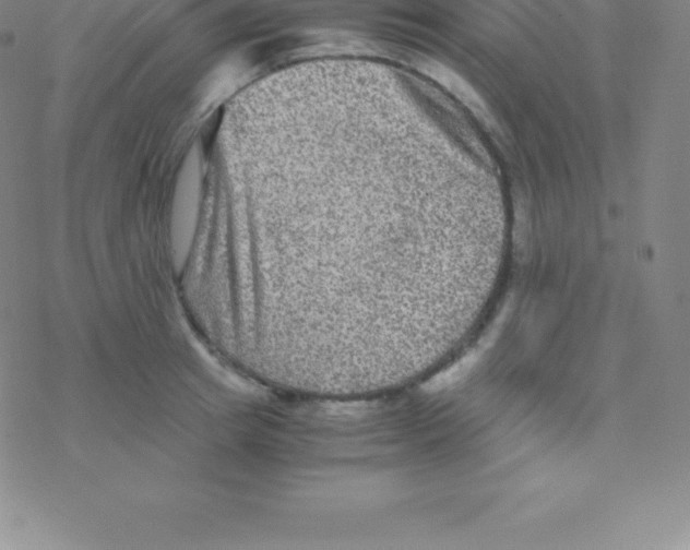 X0000076310849200610271937