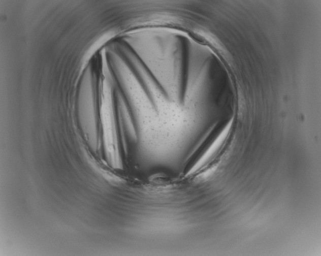 X0000076310850200610271937