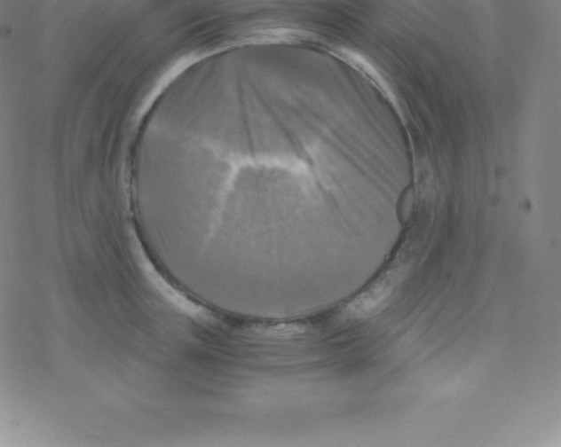 X0000076310851200610271937