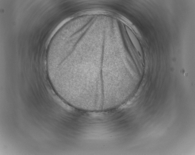 X0000076310852200610271937