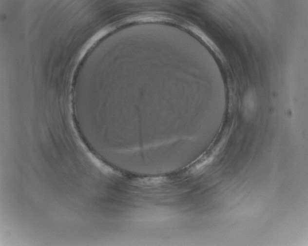 X0000076310853200610271937