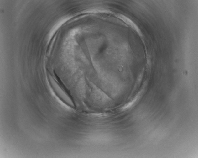 X0000076310855200610271937