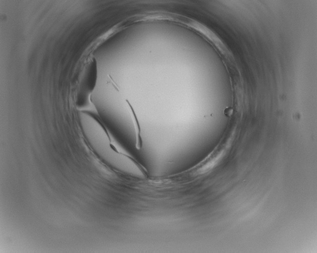 X0000076310857200610271937