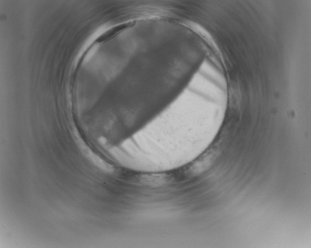 X0000076310859200610271937