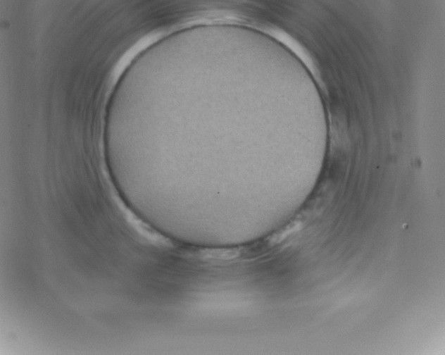 X0000076310861200610271937