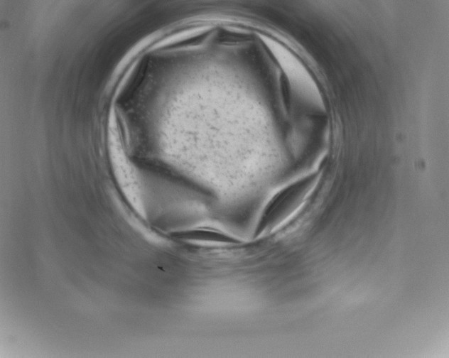 X0000076310862200610271937