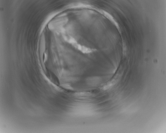 X0000076310863200610271937