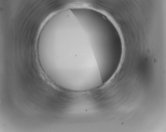 X0000076310864200610271937