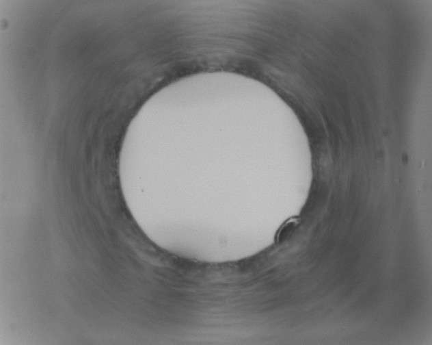 X0000076310865200610271937