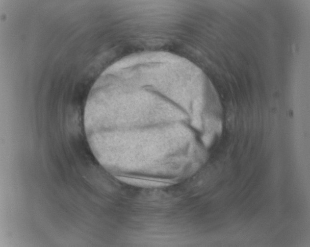 X0000076310866200610271937