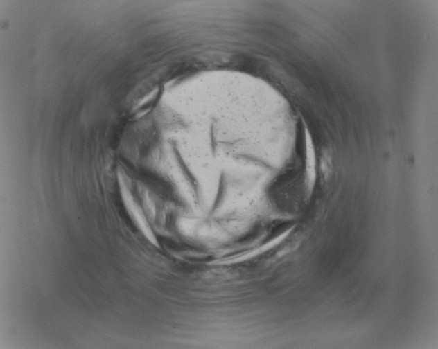 X0000076310867200610271937