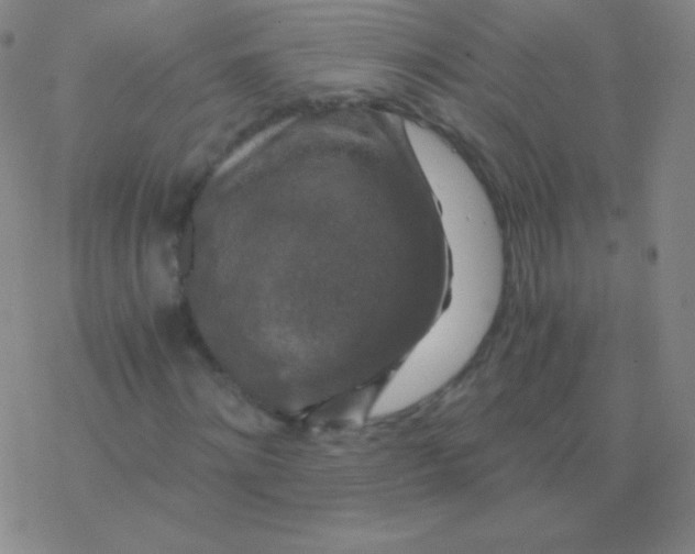 X0000076310868200610271937