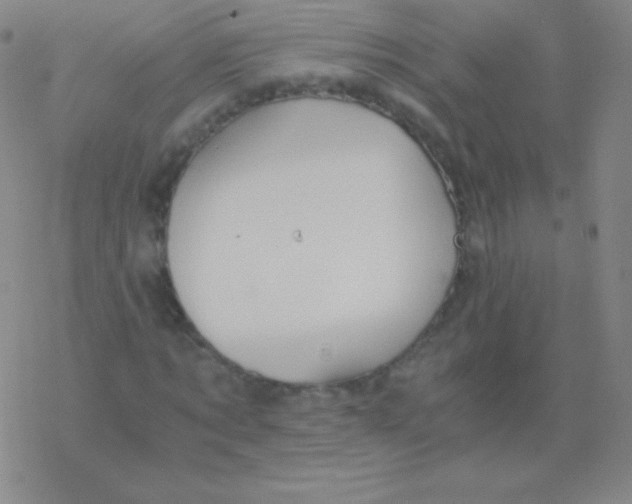 X0000076310869200610271937