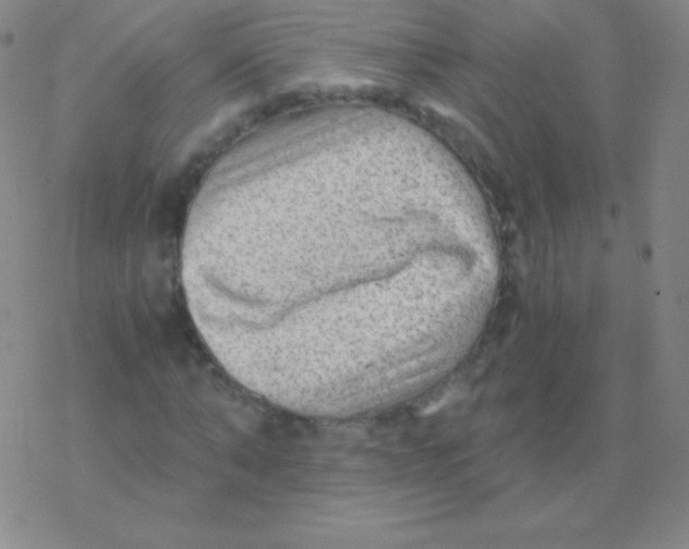 X0000076310870200610271937