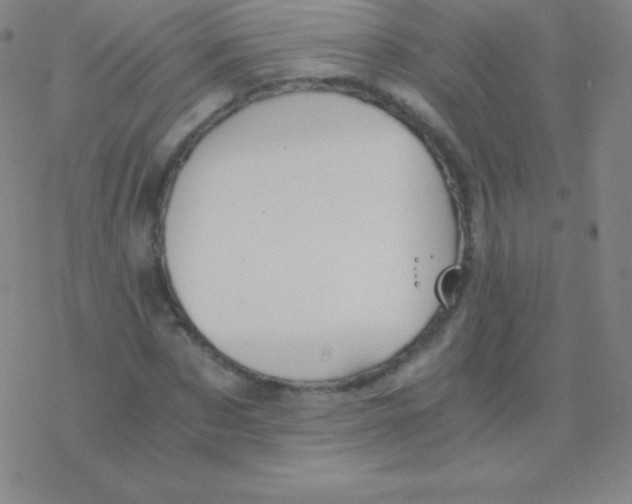 X0000076310873200610271936