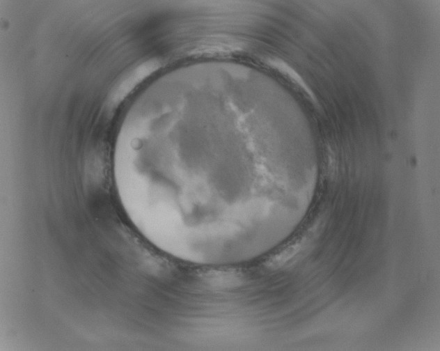 X0000076310874200610271936