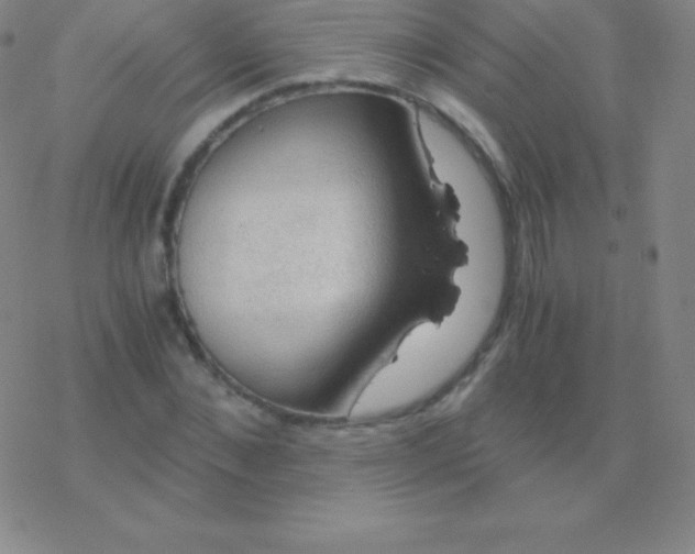 X0000076310876200610271936