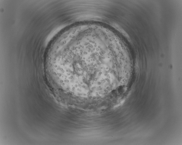 X0000076310877200610271936