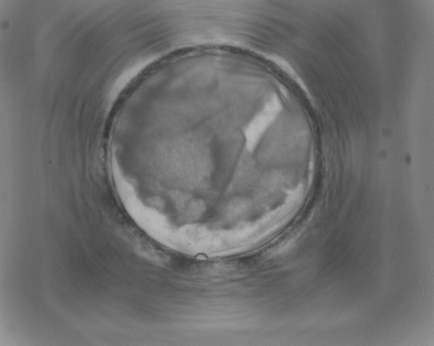 X0000076310879200610271936