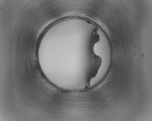 X0000076310880200610271936