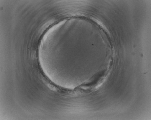 X0000076310881200610271936