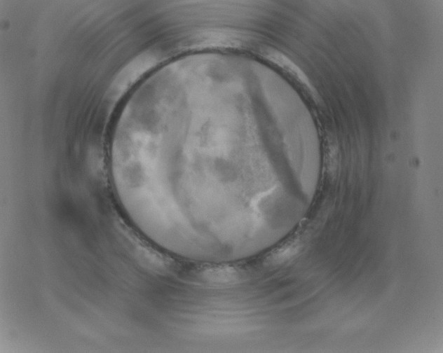 X0000076310882200610271936