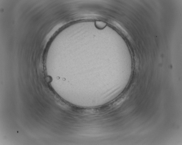 X0000076310883200610271936