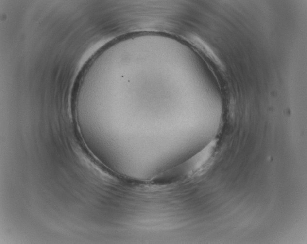 X0000076310884200610271936