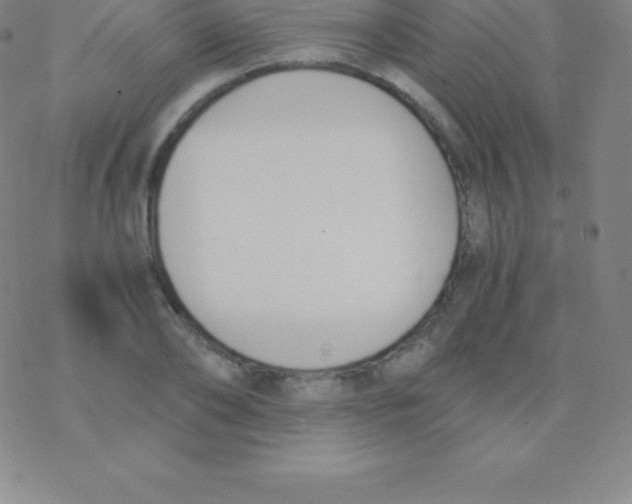 X0000076310886200610271936