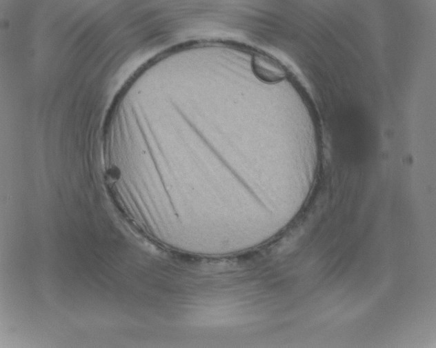 X0000076310887200610271936