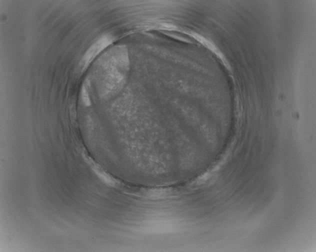 X0000076310889200610271936