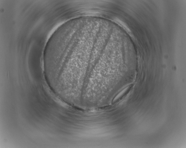 X0000076310891200610271936