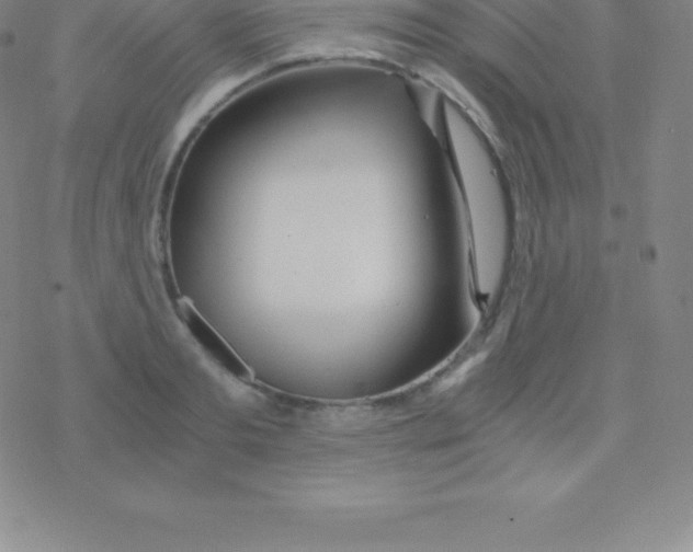 X0000076310893200610271936