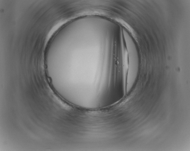 X0000076310894200610271936