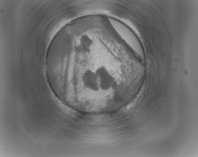 X0000076310895200610271936