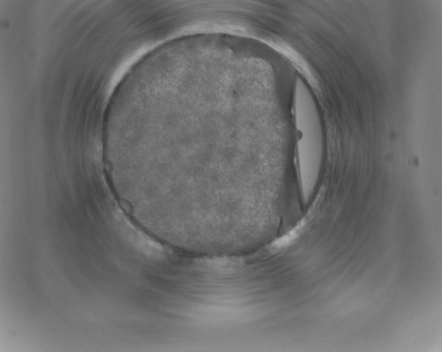 X0000076310896200610271936