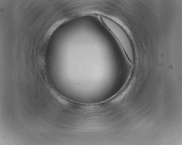 X0000076310897200610271936