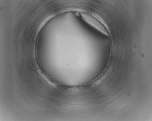 X0000076310898200610271936