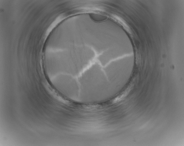 X0000076310899200610271936