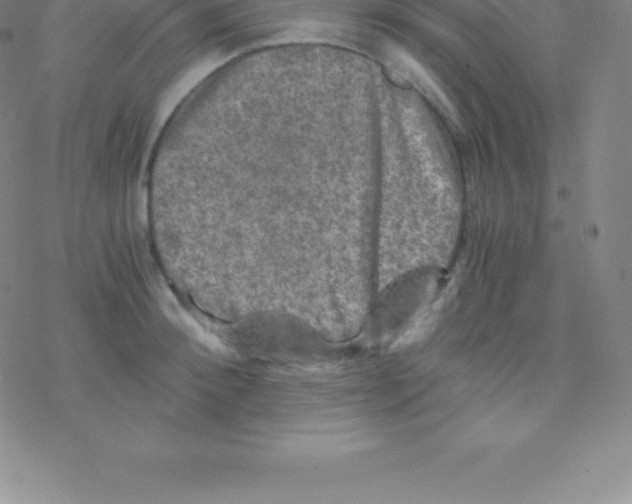 X0000076310900200610271936