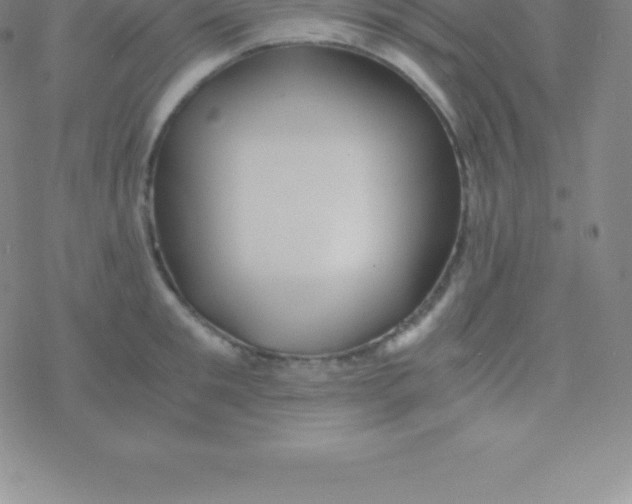 X0000076310901200610271936