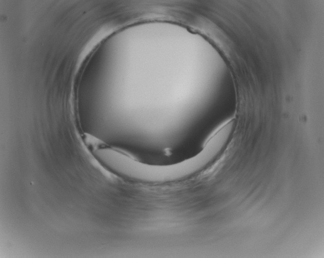 X0000076310902200610271936