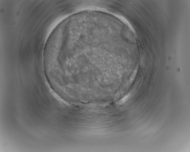 X0000076310903200610271936