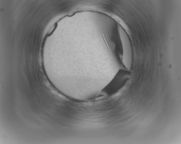 X0000076310904200610271936