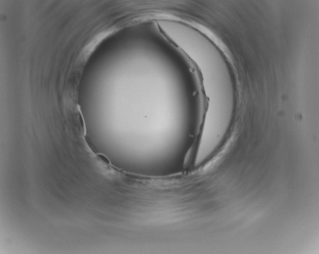 X0000076310905200610271936