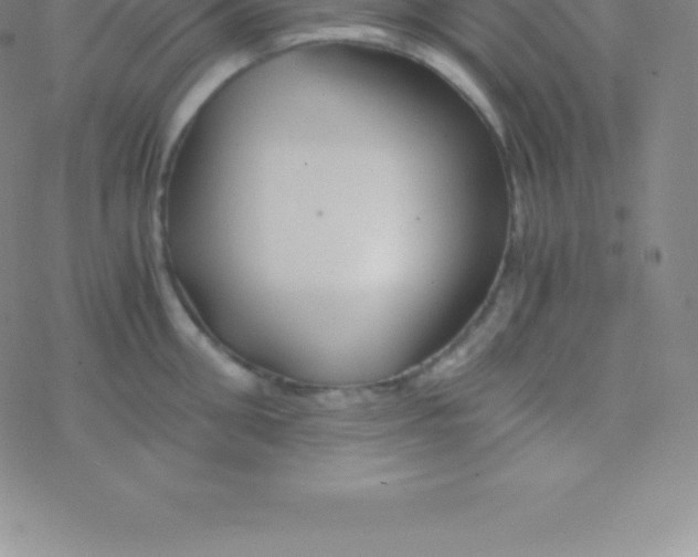 X0000076310906200610271936