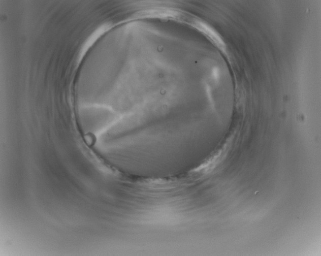 X0000076310907200610271936